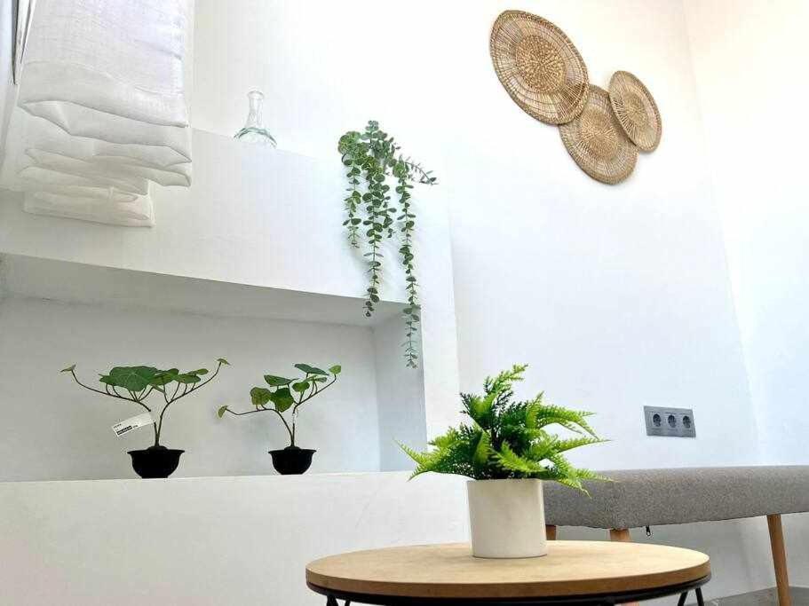 Apartamento Nuevo Centro Historico De مالقة المظهر الخارجي الصورة